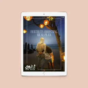 Fertility Boosting Meal Plan eBook